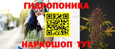 шишки Ливны