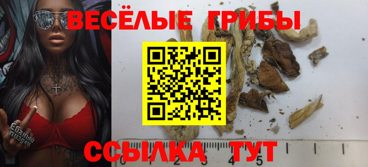 Галлюциногенные грибы мицелий Улан-Удэ